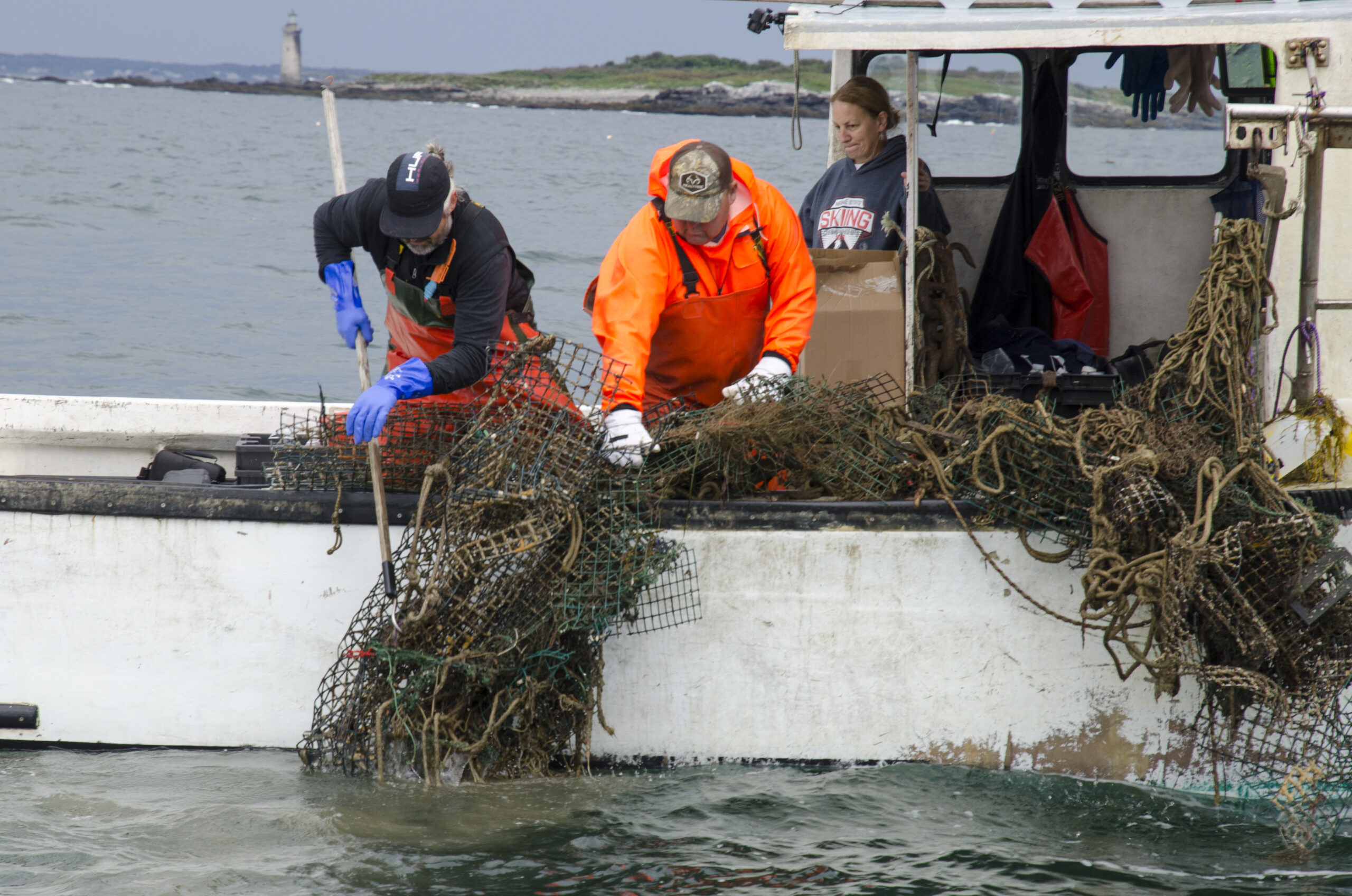 Ghost Gear Retrieval in Maine Has Impact on Lobster Stock