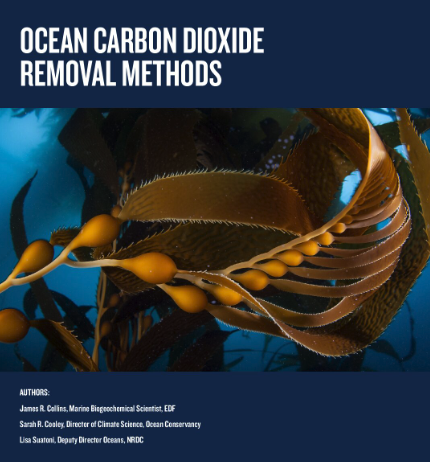 Ocean Carbon Dioxide Removal Methods