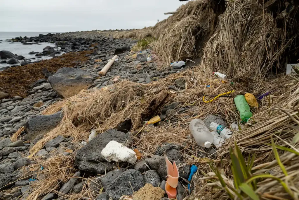 Plastics on the arctic beach