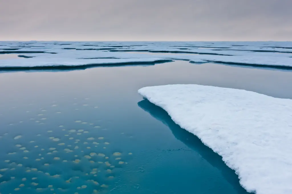 Arctic Science Brief